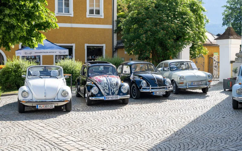 kaeferweihe_260531_111.jpg